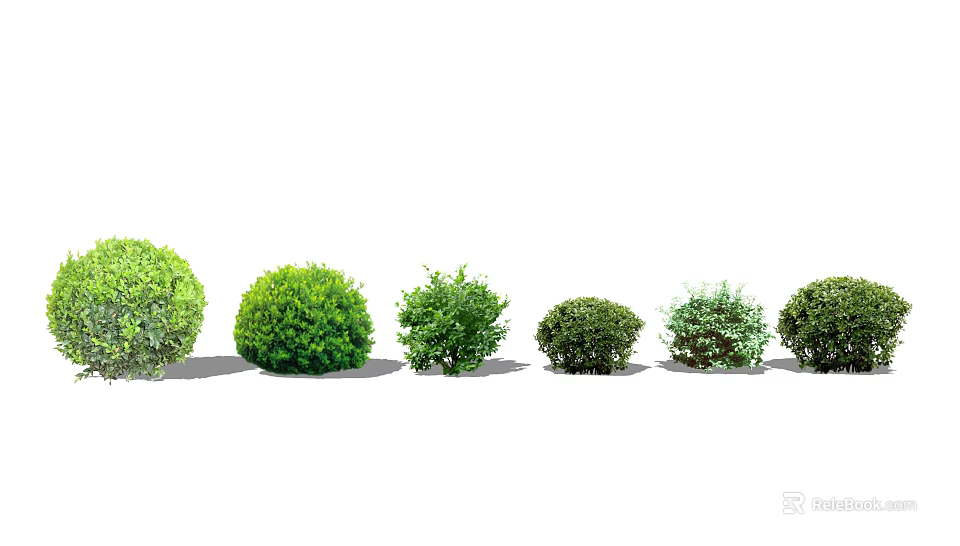 Various Green Shrubs in Different Shapes for Garden Landscaping Design 3d model