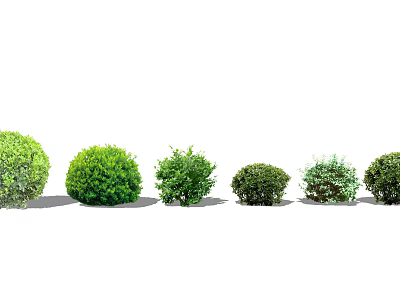 Modern shrub holly ball shrub combination of flowers and plants green shrub grass ground cover plant 3d model