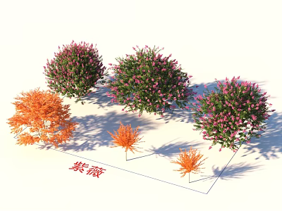 Crape Myrtle Trees With Orange And Pink Blooms For Ornamental Garden Landscape 3d model