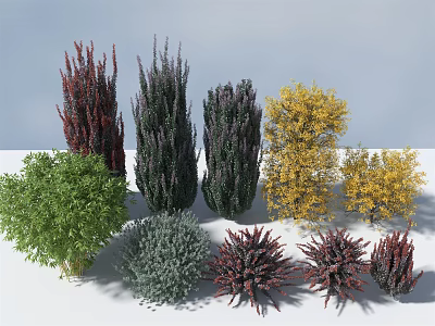 Various Types of Shrubs with Different Colors and Diverse Shapes for Landscaping 3d model