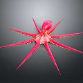 Vibrant Red Octopus With Extended Tentacles On Gray Background Marine Animal Close Up