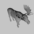 A Majestic Moose With Large Antlers Standing On White Background
