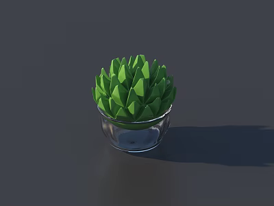 Green Succulent Plant in Transparent Glass Pot with Lush Fresh Leaves 3d model
