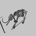 Prehistoric Game Film Character Elephant Skeleton Model With 3 Meters Height
