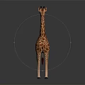 Giraffe With Brown And White Spots Standing On Gray Smooth Surface 3d model