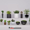 Green Plant Wall Design With Various Potted Plants And Different Planters On Shelves