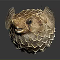 Detailed Inflated Spotted Puffer Fish With Sharp Spines On Dark Background