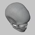 Detailed Human Skull 3D Render With Bone Color And Dark Background 3d model