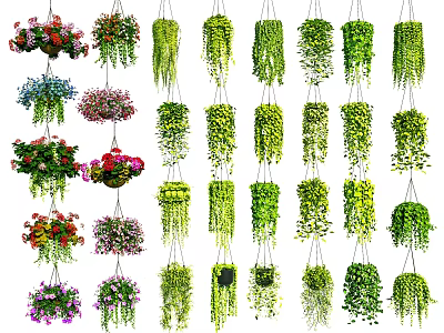 Colorful Hanging Basket Plants With Various Types Of Greenery For Home Decoration 3d model