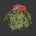 Vibrant Geranium Plant With Lush Green Leaves And Bright Red Flowers In Hemispherical Growth