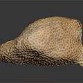 Yellow Marine Sponge Animal With Honeycomb Texture And Reflection On Black Background