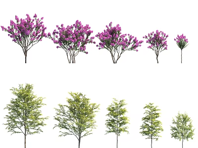 Different Types of Trees with Purple Blooms and Green Foliage in Various Sizes 3d model