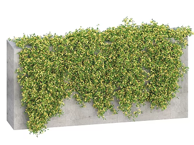 Lush Green Vines Climbing on Gray Outdoor Wall with Small Yellow Flowers 3d model