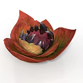 Lotus Like Flower With Red And Green Gradient Petals And Dark Center
