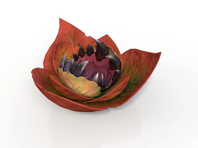 Lotus Like Flower With Red And Green Gradient Petals And Dark Center 3d model