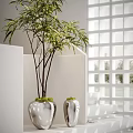 Potted Bonsai Plant With Green Leaves In Silver Metallic Pot By White Staircase