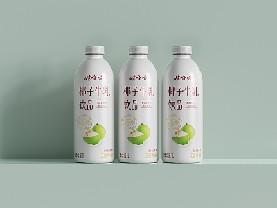 Drink Coconut Drink Juice Drink Yogurt 3d model