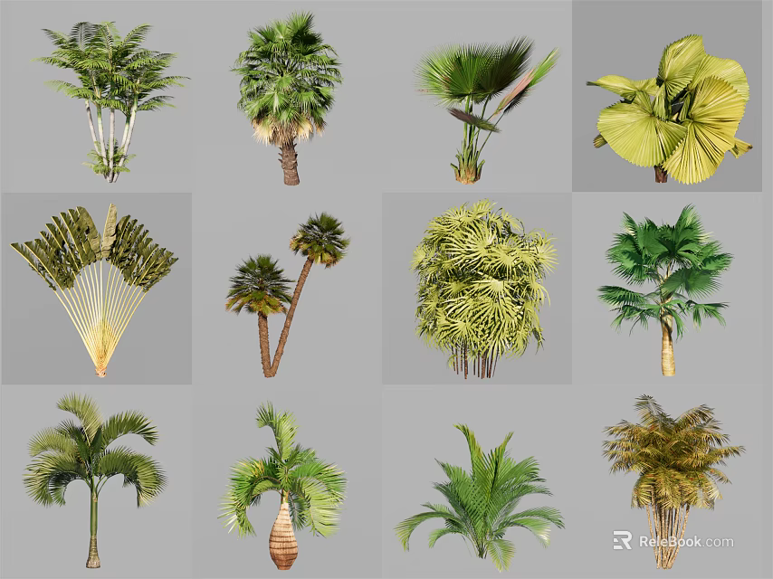Various Types of Arbor Trees with Diverse Foliage and Trunk Structures 3d model 