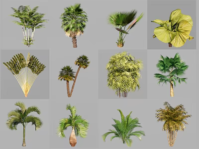 Various Types of Arbor Trees with Diverse Foliage and Trunk Structures 3d model