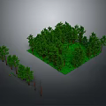 Green Forest Landscape With Dense Trees Lush Green Grass And Surrounding Trees In Square Area