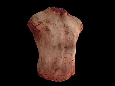 Detailed Biological Torso Structure With Textured Surface And Reddish Brown Color Isolated On Black Background 3d model