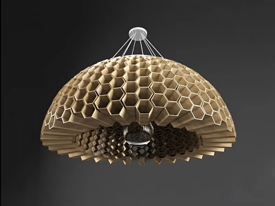 Unique Modern Honeycomb Design Wooden Chandelier With Dome Shape Interior Lighting 3d model