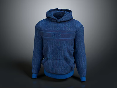 Modern Sweater Casual Wear Hoodie Spring and Autumn Clothing 3d model