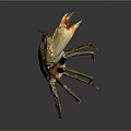 Realistic Golden Brown Crab With Raised Claws Shiny Exoskeleton On Dark Background