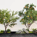 courtyard fruit tree arbor pomegranate tree orange tree landscape tree 3d model