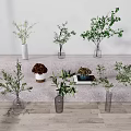 Decorative Indoor Vases with Green Plants Colorful Flowers on Steps White Wall Wooden Floor