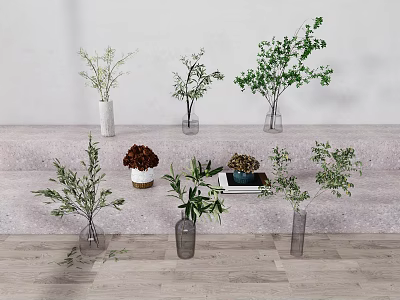 Decorative Indoor Vases with Green Plants Colorful Flowers on Steps White Wall Wooden Floor 3d model