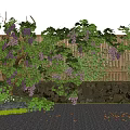 Grapevine Shrub with Green Leaves and Purple Grapes Against Bamboo Fence and Stone Wall