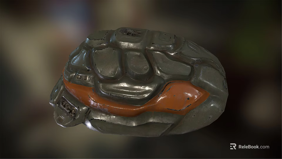 Aquatic Animal Turtle Shell Featuring Gray and Orange Color with Detailed Texture 3d model 