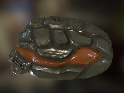 Aquatic Animal Turtle Shell Featuring Gray and Orange Color with Detailed Texture 3d model