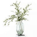 Decorative Transparent Glass Vases With Fresh Green Plants For Home Interior Decor
