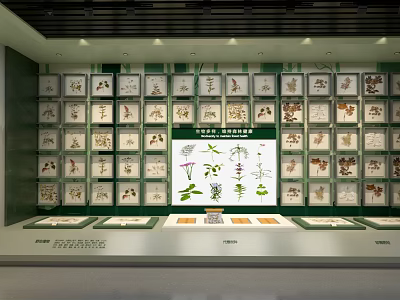 Traditional Chinese Herbal Specimens Exhibition Display With Arranged Shelves And Labeled Boxes 3d model