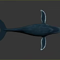 Realistic Blue Whale 3D Model with White Underbelly on Gray Background 3d model