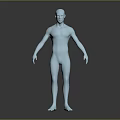 Silver Human Body Model Displaying Muscles And Hairless Anatomical Structure Features 3d model