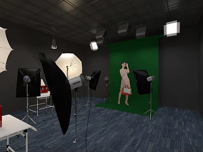 Public Office Space Featuring Green Backdrop Photography Lights Reflectors Tables Chairs And Blue Carpet 3d model