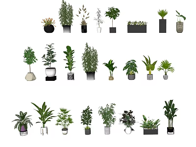 Diverse Bonsai and Potted Plants in Various Pots for Home Decoration 3d model