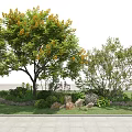 Lush Deciduous Tree in Garden Landscape With Shrubs Flowers Stones and Lawn