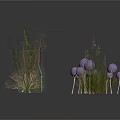 Various Decorative Plants Including Grasses And Purple Spherical Flowers On White Background