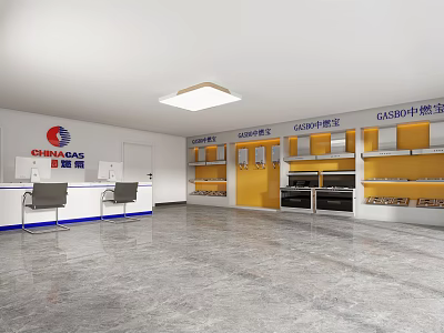 GASBO Specialty Store Interior Featuring Display Shelves Counter And Displayed Products 3d model