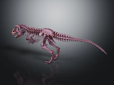 Medical Devices Dinosaur Skeleton Anatomical Model For Educational And Research Purposes 3d model