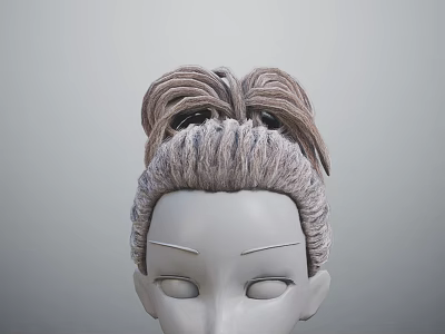 Realistic Mannequin Head Featuring Gray Brown Braided Hair And Updo Hairstyle 3d model