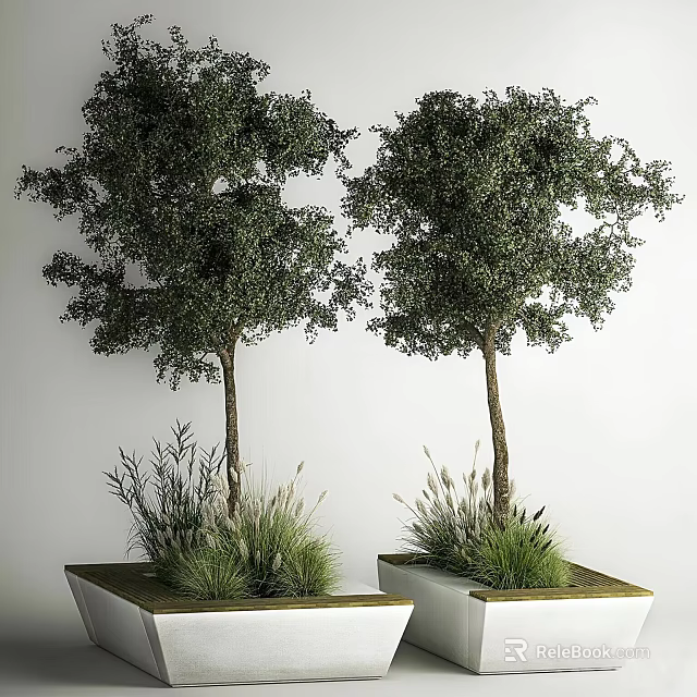 Two Green Leafy Shrubs with Tree Trunks and Grass Beside Planted in White Square Planters 3d model 