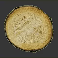 Golden Tree Ring Patterned Cake Slice With Natural Wooden Texture And Brown Edges 3d model