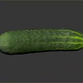 Fresh Green Cucumber with Small Spines Smooth Skin and Juicy Texture