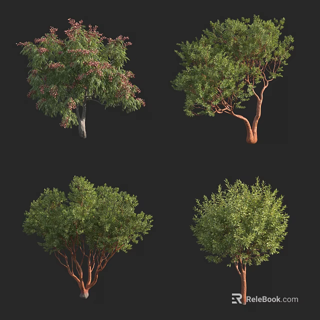 Diverse Tree Varieties With Lush Green Foliage For Garden Landscaping Projects 3d model 