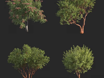 Diverse Tree Varieties With Lush Green Foliage For Garden Landscaping Projects 3d model